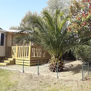 Camping Mobil Neuf 2 6 Personnes Saint Aygulf, Fréjus